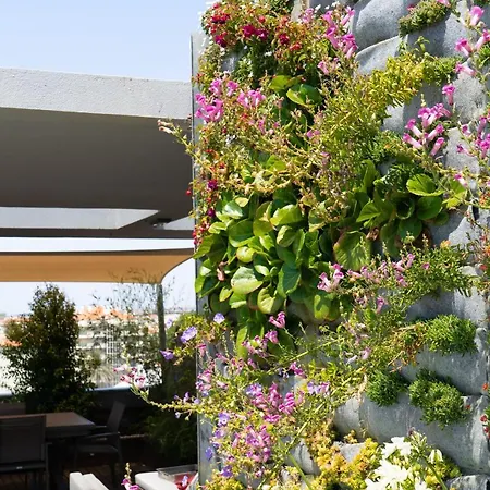 Penthouse W/private Rooftop,whirlpool, Bbq, Sauna Apartment Parede